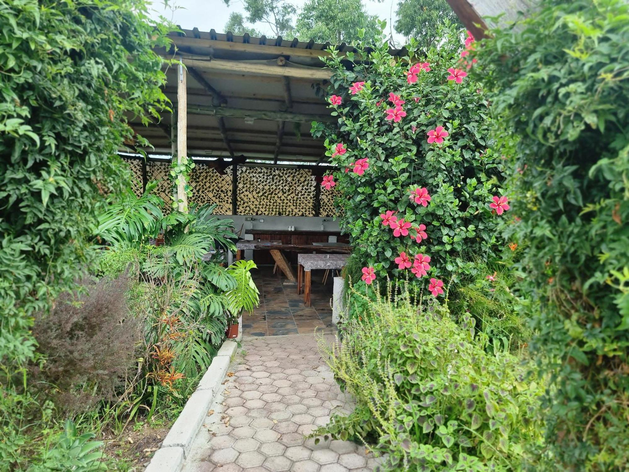 Goggas Nest Bnb & Restaurant Matsapha Esterno foto